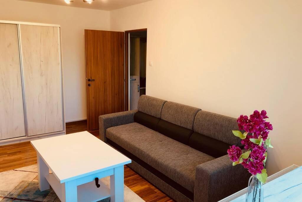 Apartment Joy Iasi 15 *