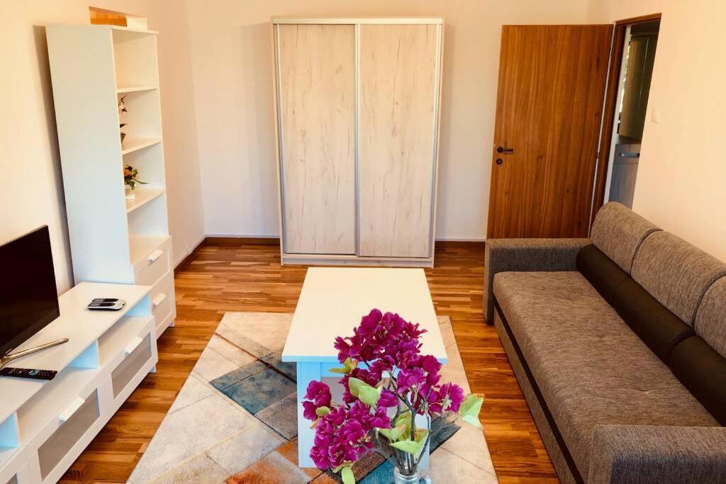 Apartment Joy Iasi 15 Timişoara