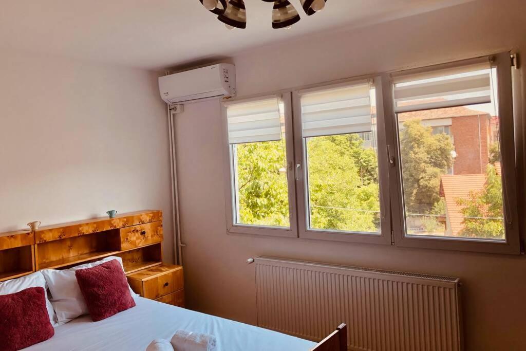 Apartament Joy Iasi 15